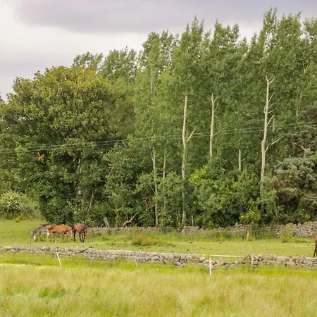Thirley Beck Holiday home