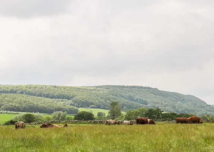 Сasa de vacaciones Thirley Beck