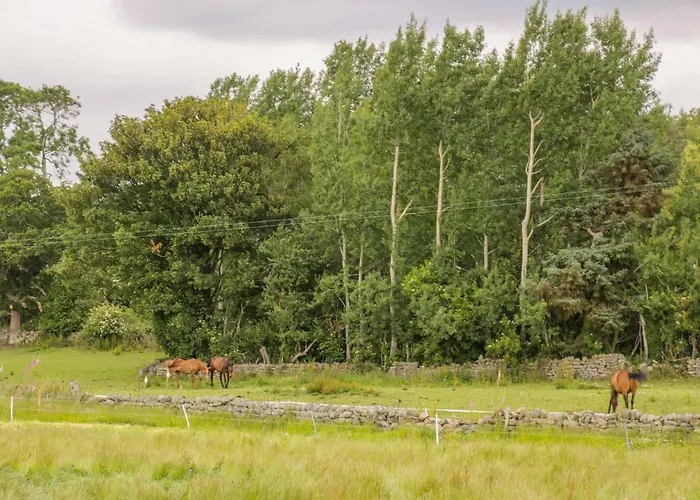 Thirley Beck Сasa de vacaciones